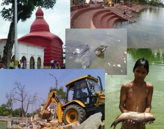  Tripura High Court seeks status report from Chief Secretary, Principal Secretary within 2 weeks : Udaipur Kalyansagar pollution, cemented embankments killing rare N-Nigrican turtles; Administration in slumber